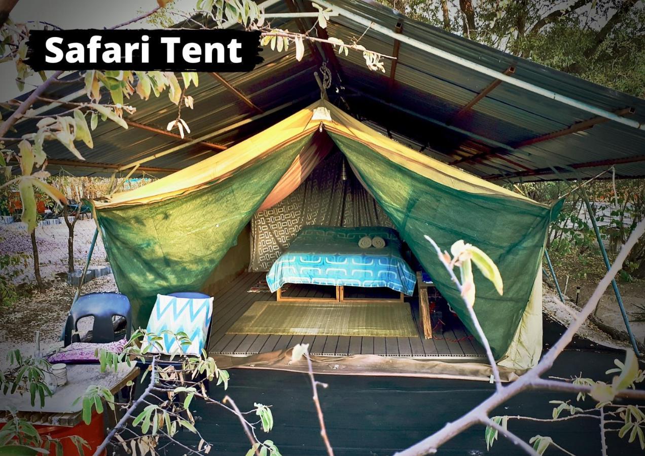 Eselbe Camp Backpackers Vandrehjem Nata Eksteriør billede