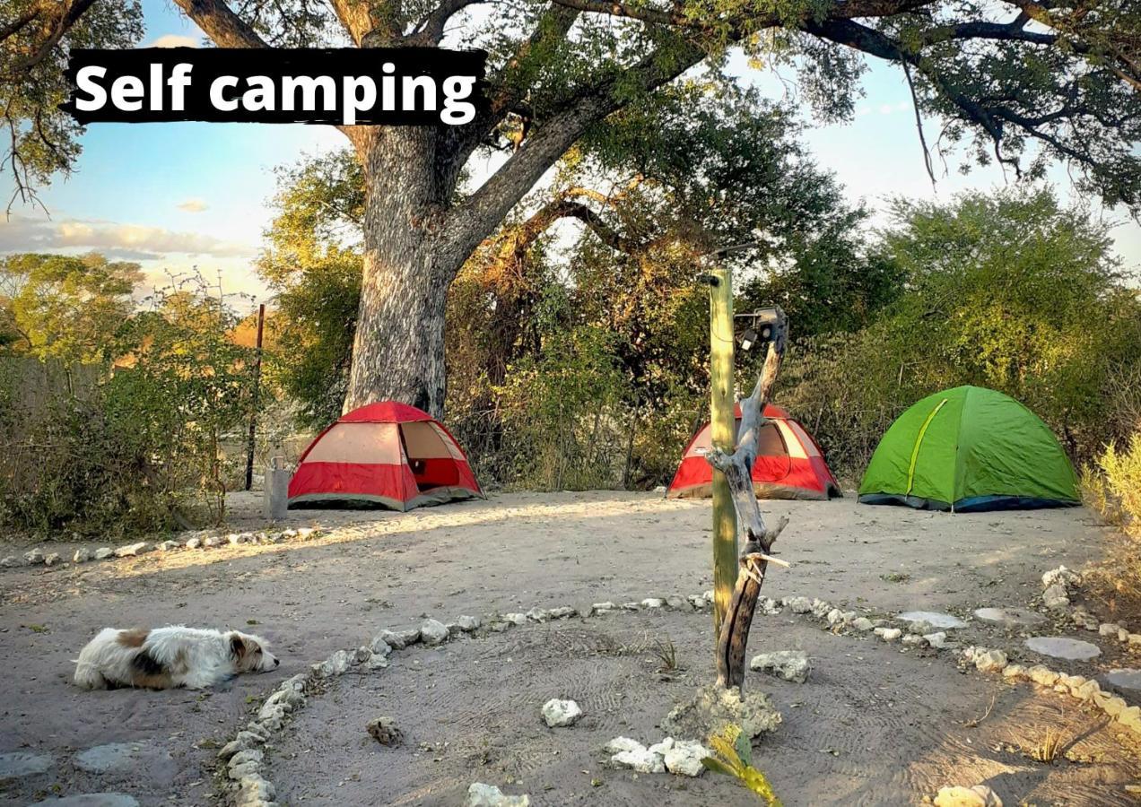 Eselbe Camp Backpackers Vandrehjem Nata Eksteriør billede