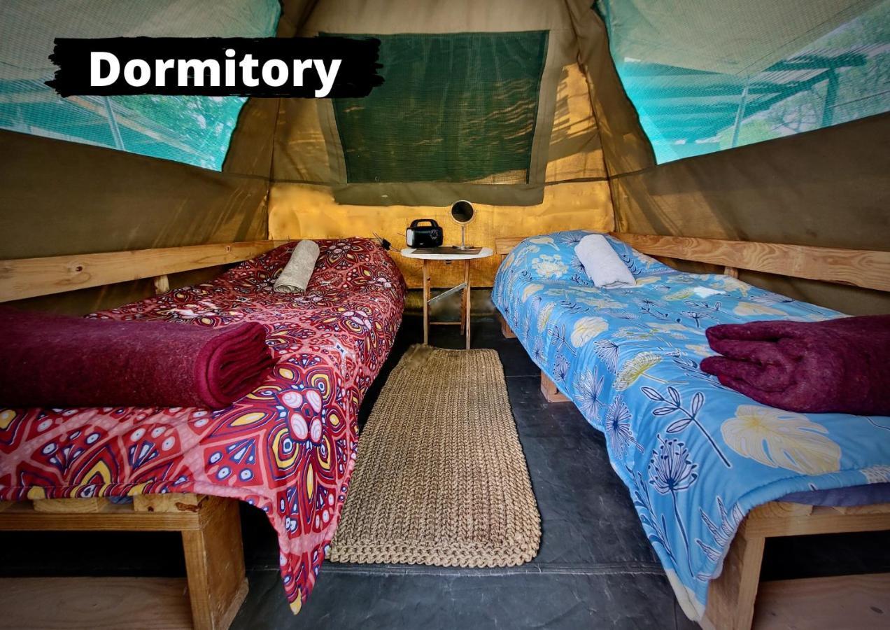 Eselbe Camp Backpackers Vandrehjem Nata Eksteriør billede