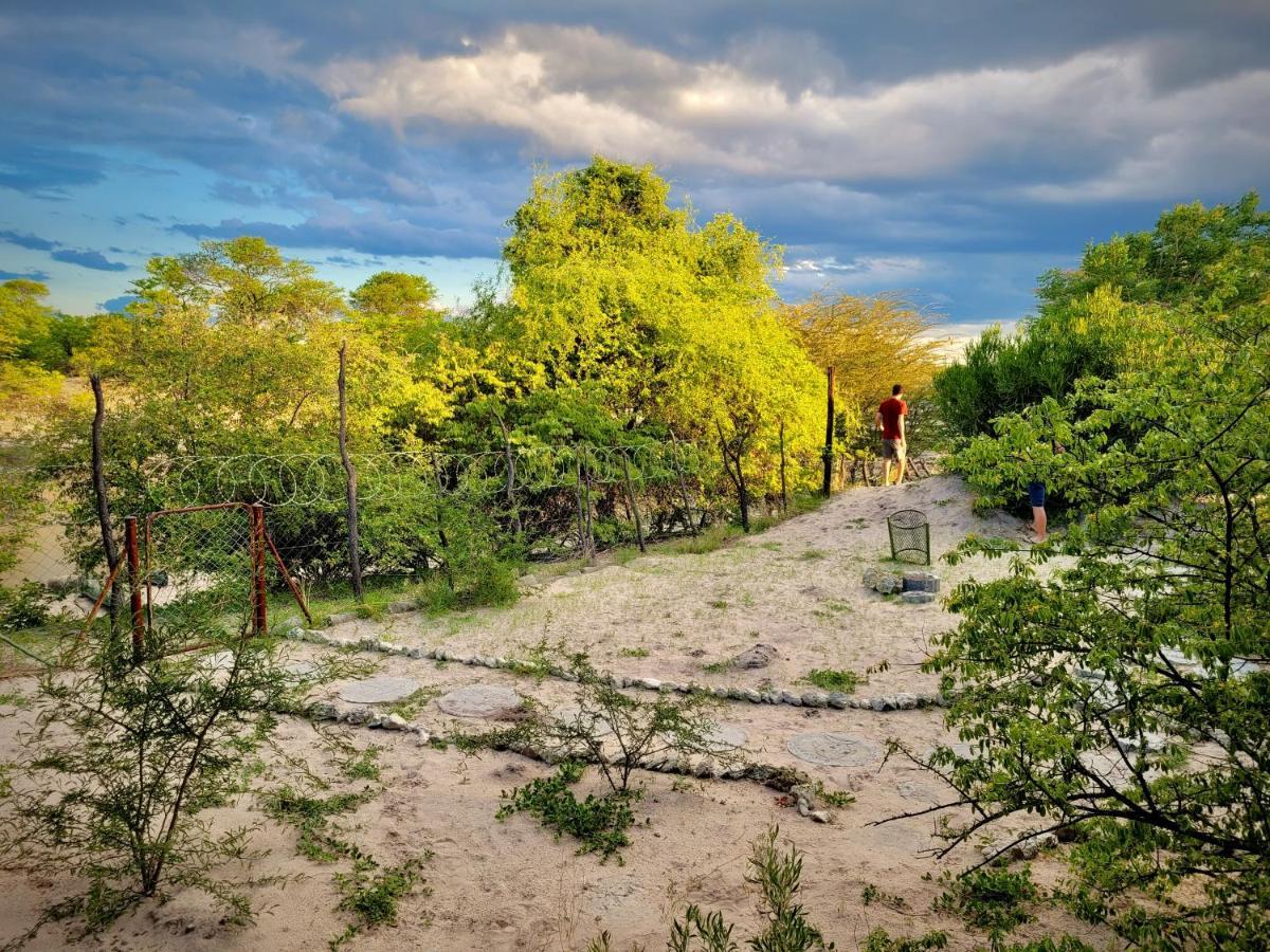 Eselbe Camp Backpackers Vandrehjem Nata Eksteriør billede