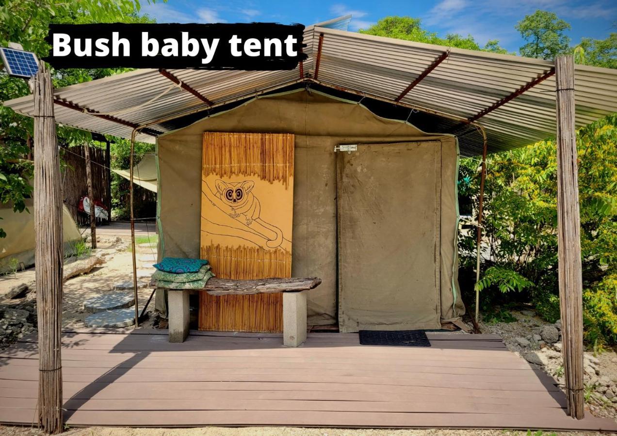 Eselbe Camp Backpackers Vandrehjem Nata Eksteriør billede